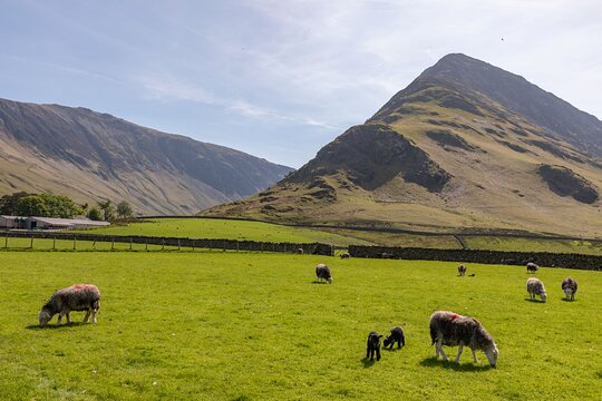 Tour image 12